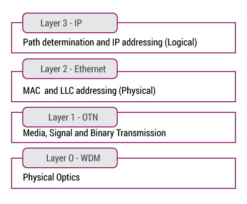 OTN Layer